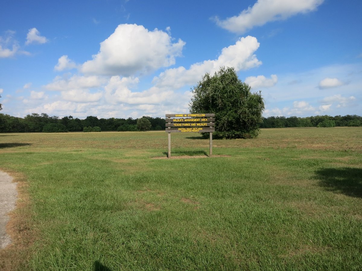 Cedar Park, TX - File:Cedar Lake TX Nannie Stringfellow WMA.jpg - Wikimedia Commons